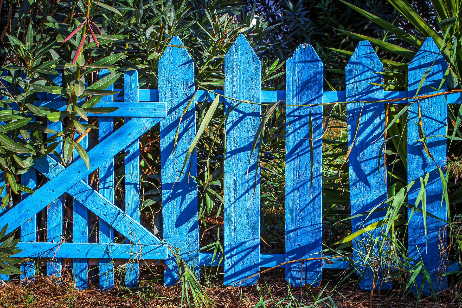 Das Bild zeigt einen blauen Lattenzaun