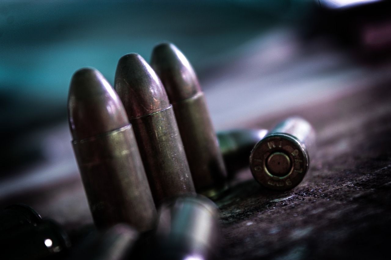 Das Bild zeigt Patronen.