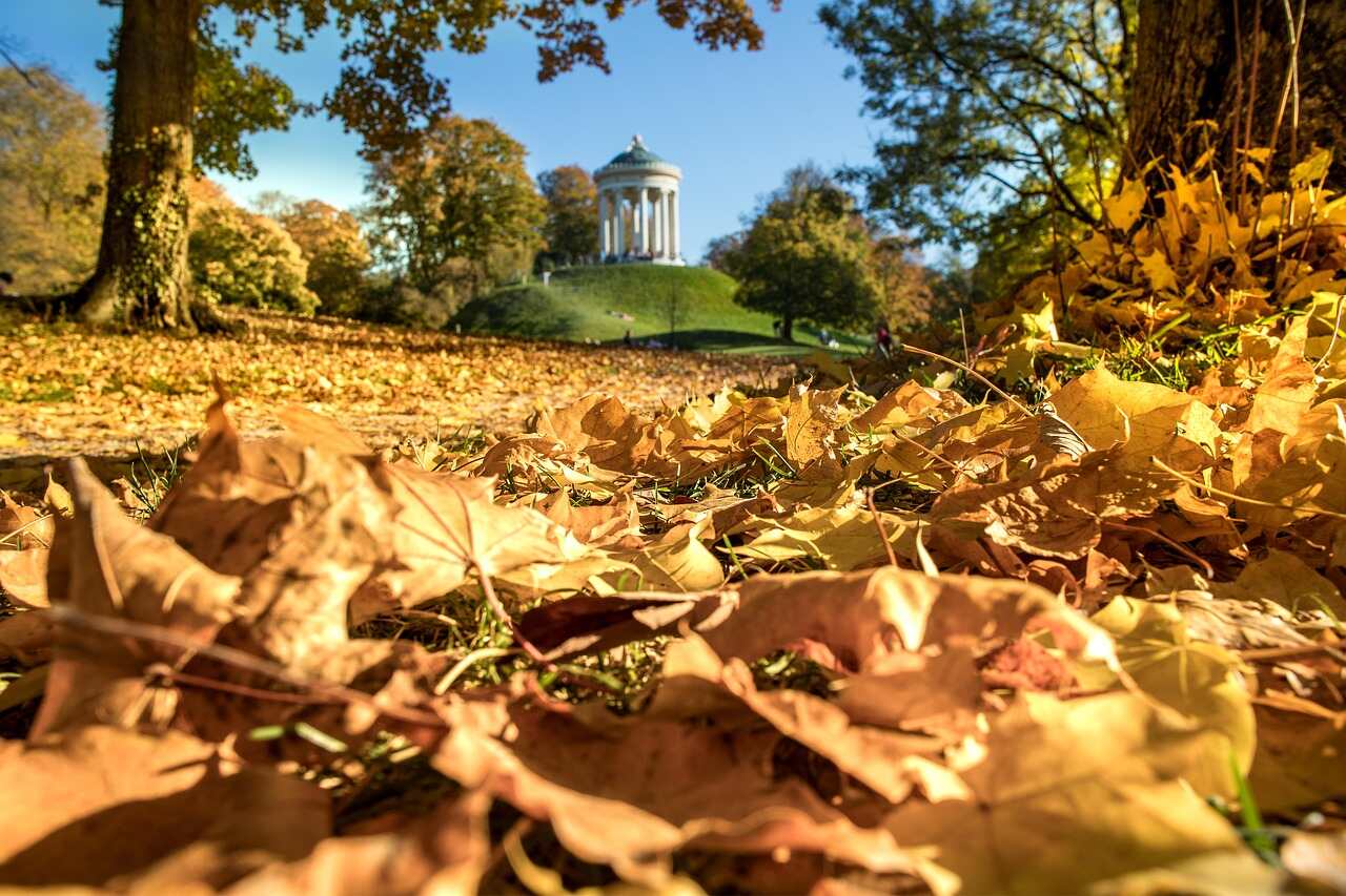 Das Bild zeigt den Englischen Garten in München.