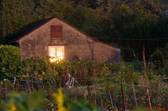 Das Bild zeigt ein Haus mit einem beleuchteten Fenster sowie davor einen Garten.